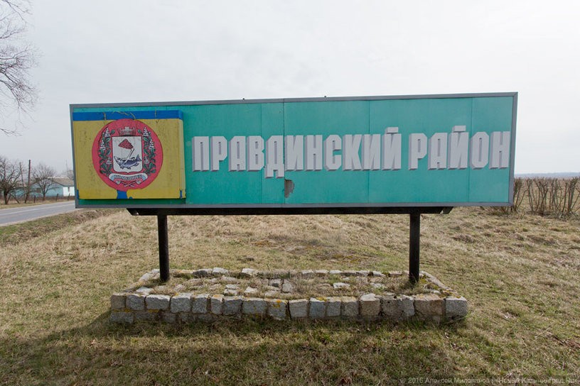 Глава Правдинска: из подсобных хозяйств района изъяли всех свиней