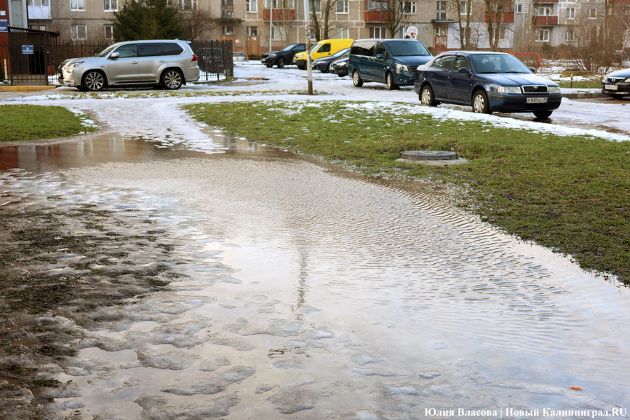Чудеса эквилибристики и тонкости скольжения: как жители Калининграда передвигаются по тротуарам (фото)