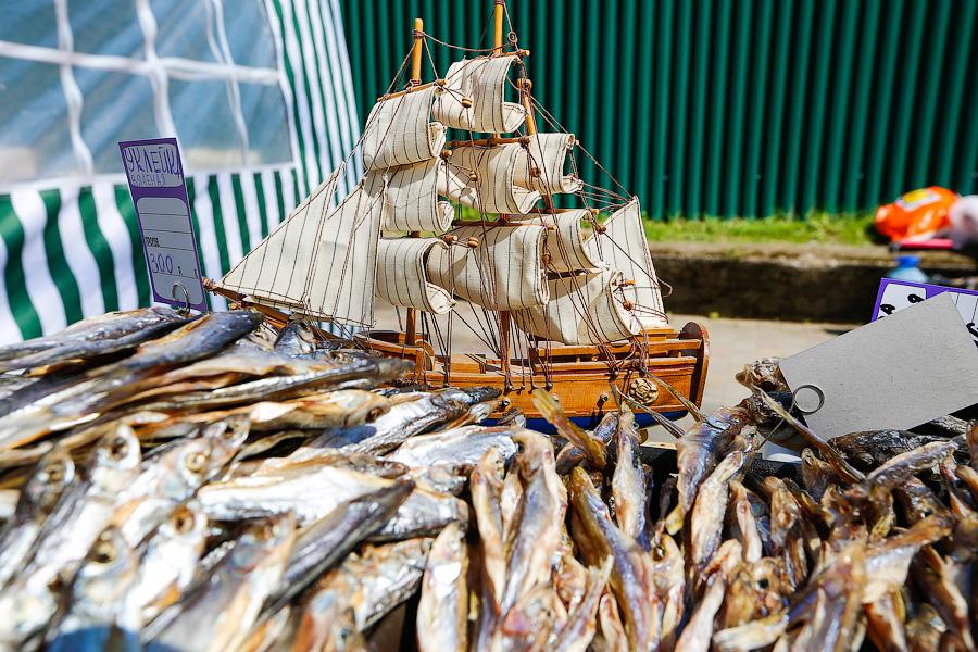 Какую рыбу в Светлогорске любят больше всех: как прошел фестиваль «Big Fish»