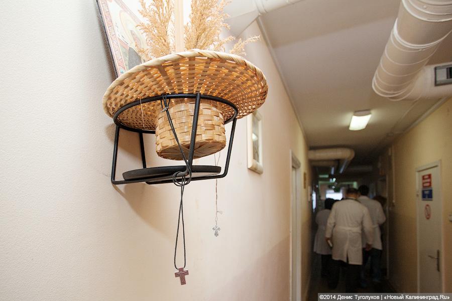 Доктор Лиза о хосписе в Калининграде: «Я в ужасе от вашего правительства»