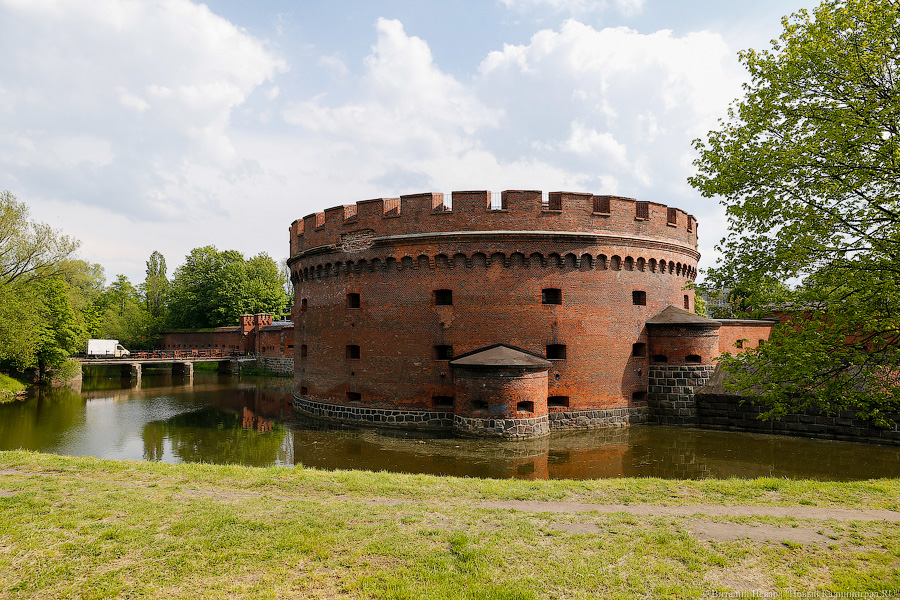 В Калининграде ищут подрядчика для ремонта стены башни Дона