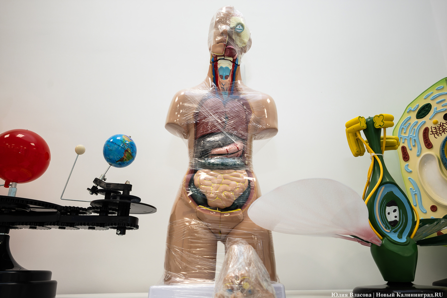 От дрона до 3D-принтера: в Калининграде открылась «школа для школы» на Каштановой аллее (фото)