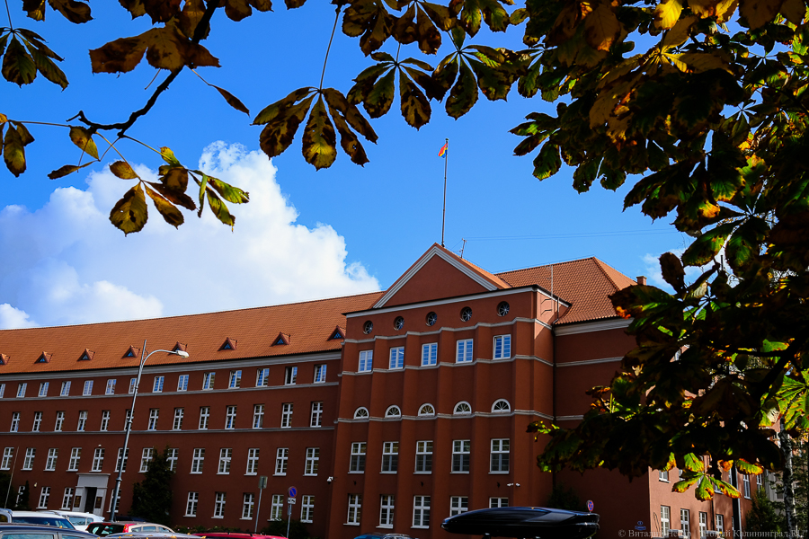 Правительство области закупает на 700 тыс. канцелярские товары со своей символикой