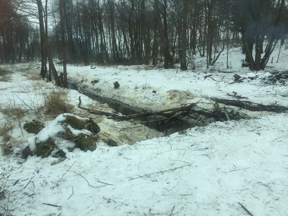 «Масштабная экокатастрофа»: что известно о разливе нефтепродуктов в Переславском