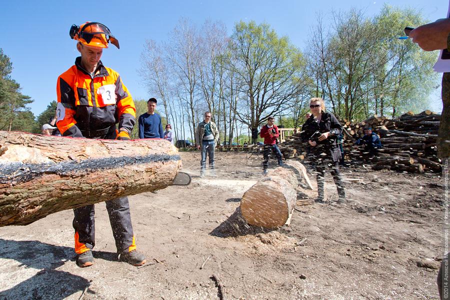 Лесной распил: как проходят соревнования лесорубов (фото)