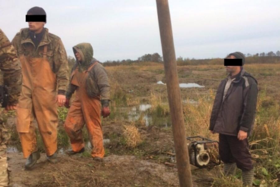 Под Зеленоградском полицейские задержали «черных копателей» янтаря