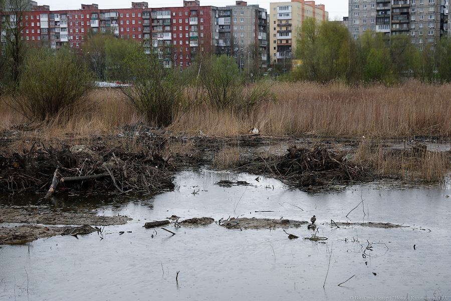 Генералы песчаных карьеров: куда ведут новые съезды со второй эстакады