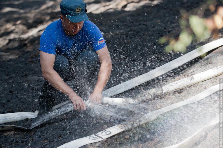 Когда рассеялся дым: после локализации лесного пожара на Куршской косе (фото)