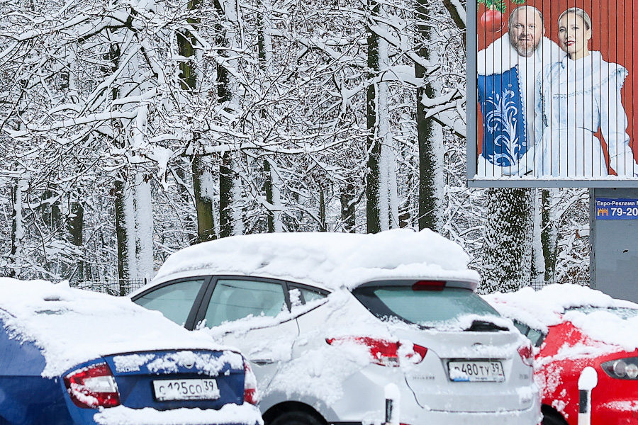 Хаос под белым покрывалом: как выглядит утонувший в снегу Калининград (фото)