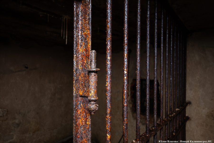 Настоящие подземелья Кёнигсберга: что находится в открывшемся провале на острове Канта (фото)