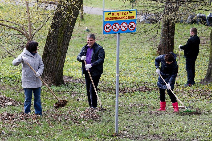 Селфи с граблями: в парке Победы прошёл общегородской субботник