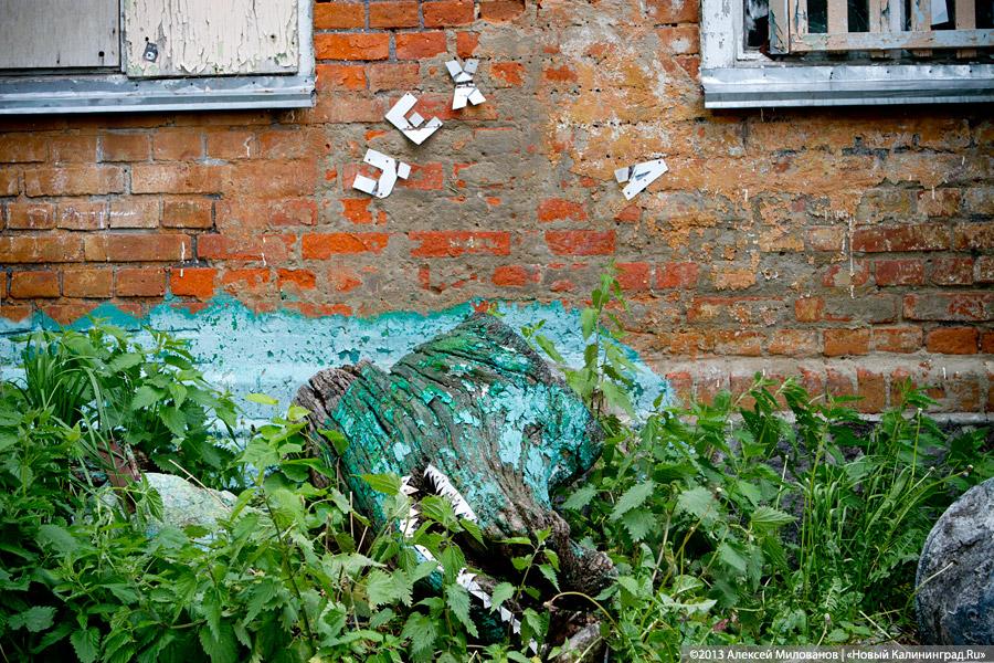 Конец Чехоши: школа поселка Чехово в фотопроекте «Пустые дома»