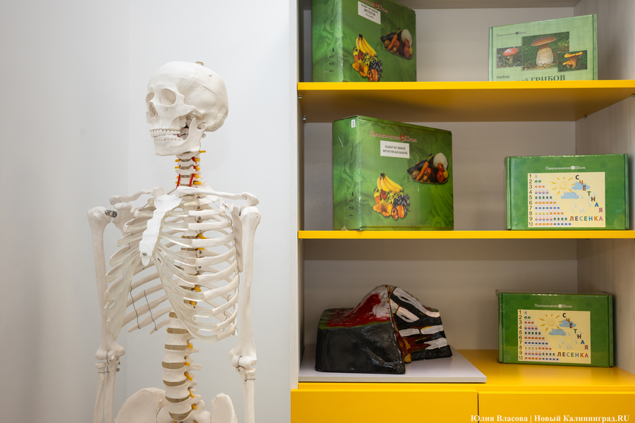 От дрона до 3D-принтера: в Калининграде открылась «школа для школы» на Каштановой аллее (фото)