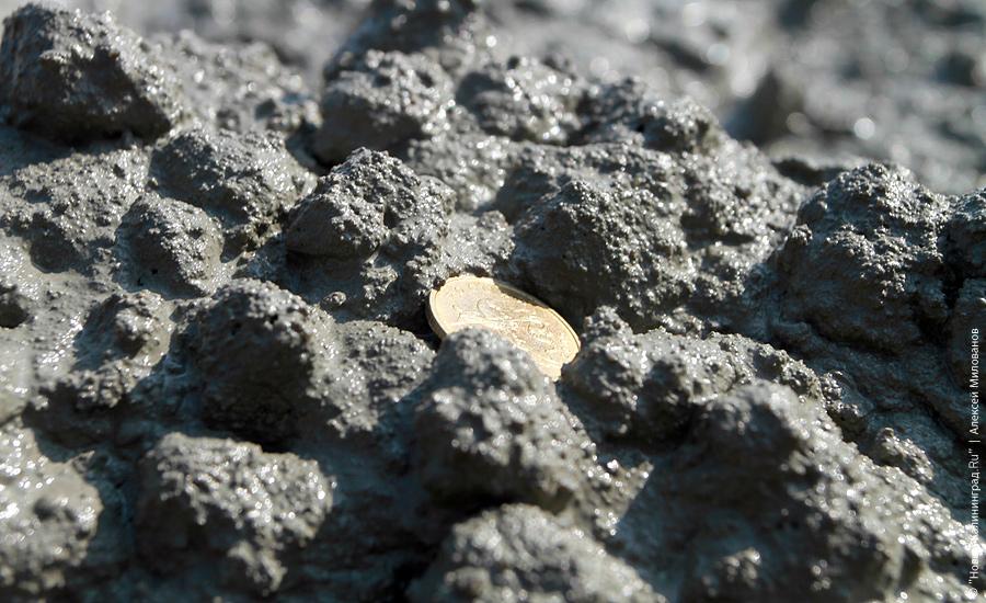 "Первый бетон на второй эстакаде": фоторепортаж "Нового Калининграда.Ru"