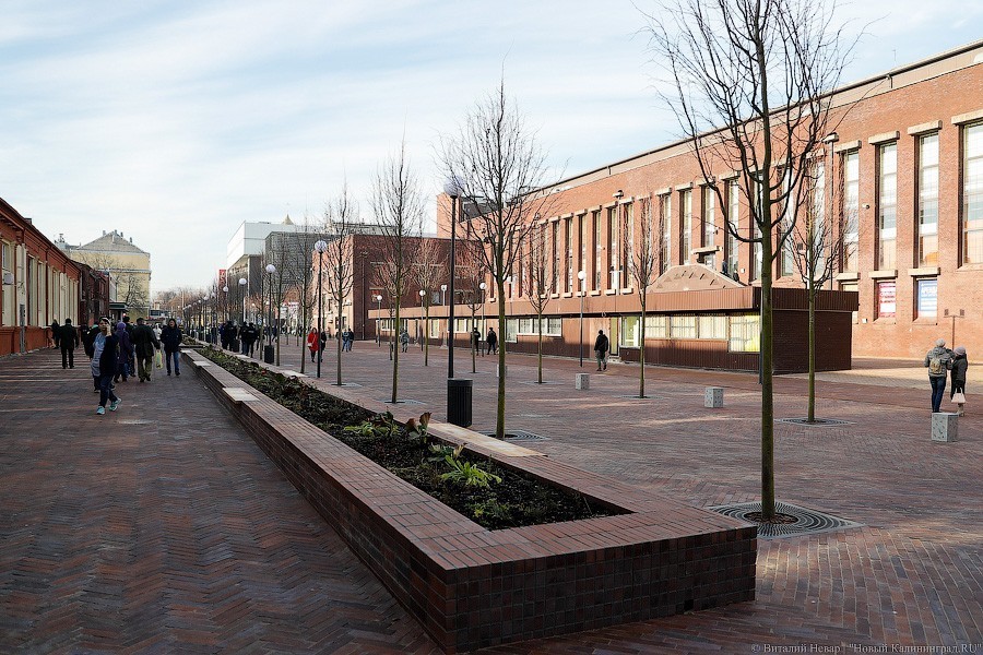 Горвласти намерены установить болларды на пешеходной части ул. Баранова из-за машин