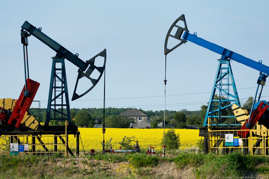 Исследование: США вскоре обгонят Россию по объему экспорта нефти