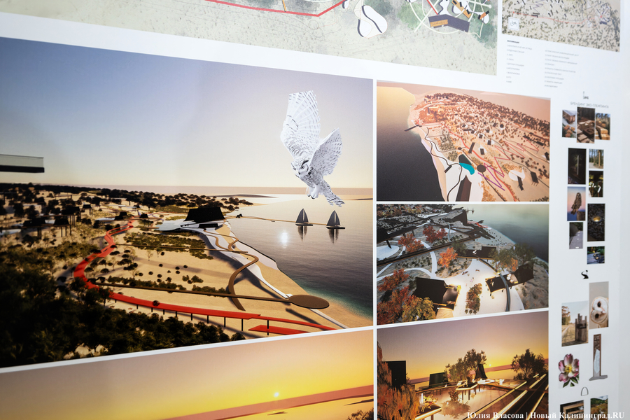 «Гнёзда» на Филинской бухте: проект из Москвы получил первую премию «ЭкоБерега» (фото)