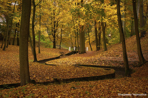 «Осень в Калининграде»: подведены итоги конкурса фотографии от Sony Centre