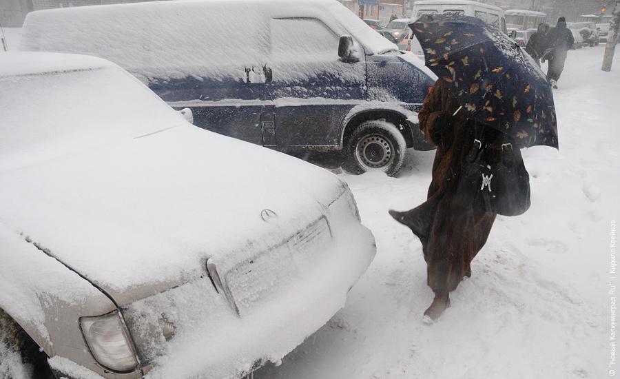 "Нападение белых мух": фоторепортаж "Нового Калининграда.Ru"