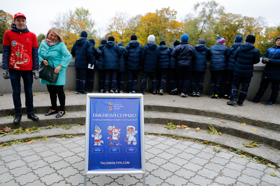 Акела и другие: как в зоопарке выбирали талисман ЧМ-2018 (фото)