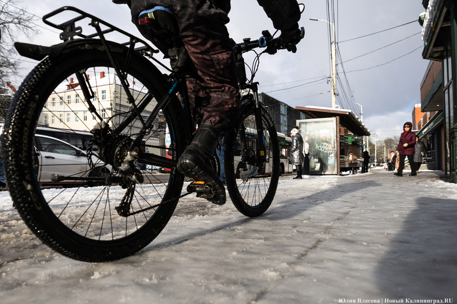 Беспрозванных: оперативная реакция на непогоду была не во всех муниципалитетах