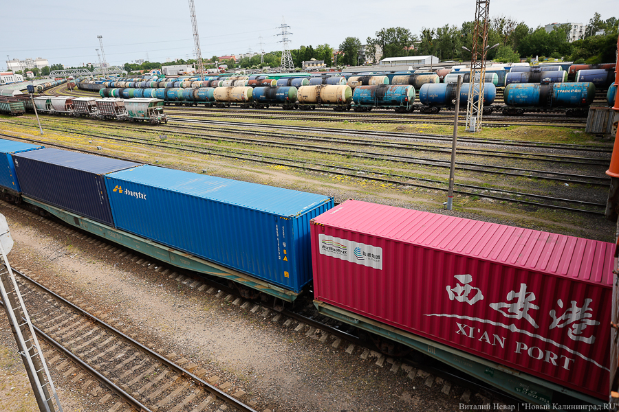 Калининградские перевозчики: только 20% грузов не под санкциями