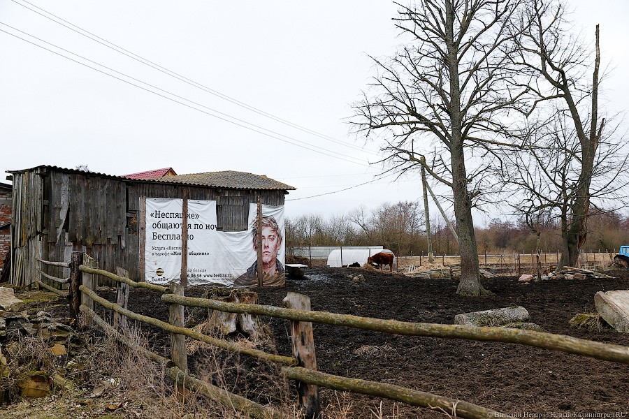 Еще в 19 поселках Калининградской области заработал бесплатный Wi-Fi