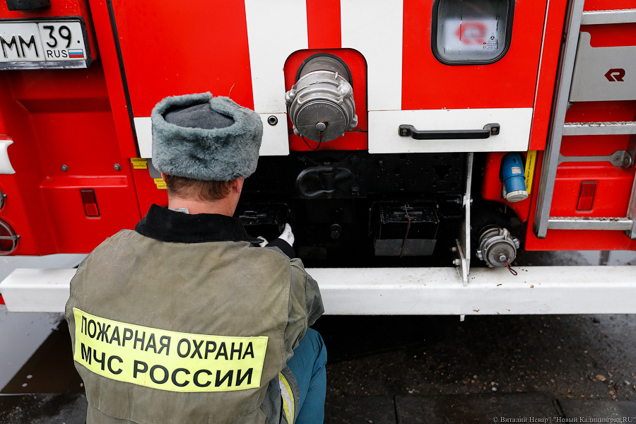 На трассе в Гурьевском районе загорелось поваленное дерево