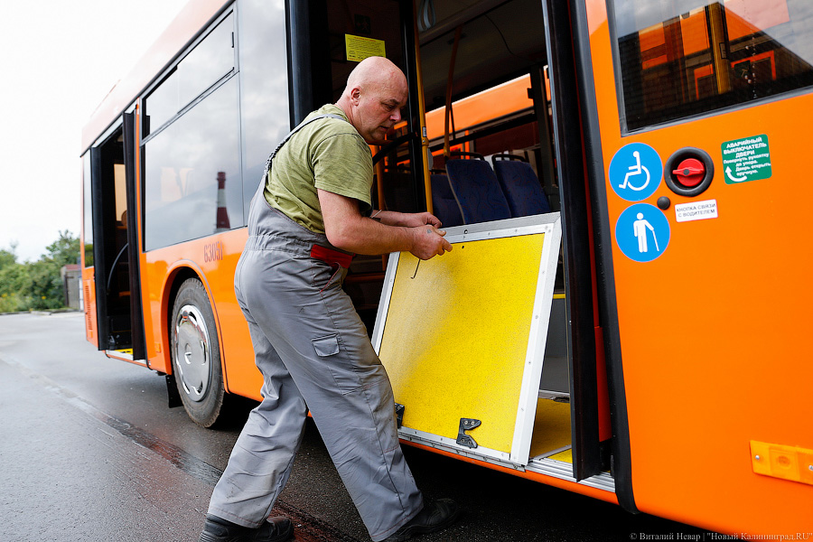 Оранжевое счастье: Калининграду передали 100 новых автобусов МАЗ (фото)