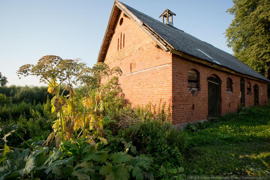 «Когда-то был пожар»: кирха XVIII века в поселке Яблоновка под Озерском