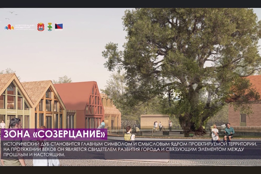 Рядом с ладушкинским многовековым дубом планируют разместить торговые павильоны (фото)