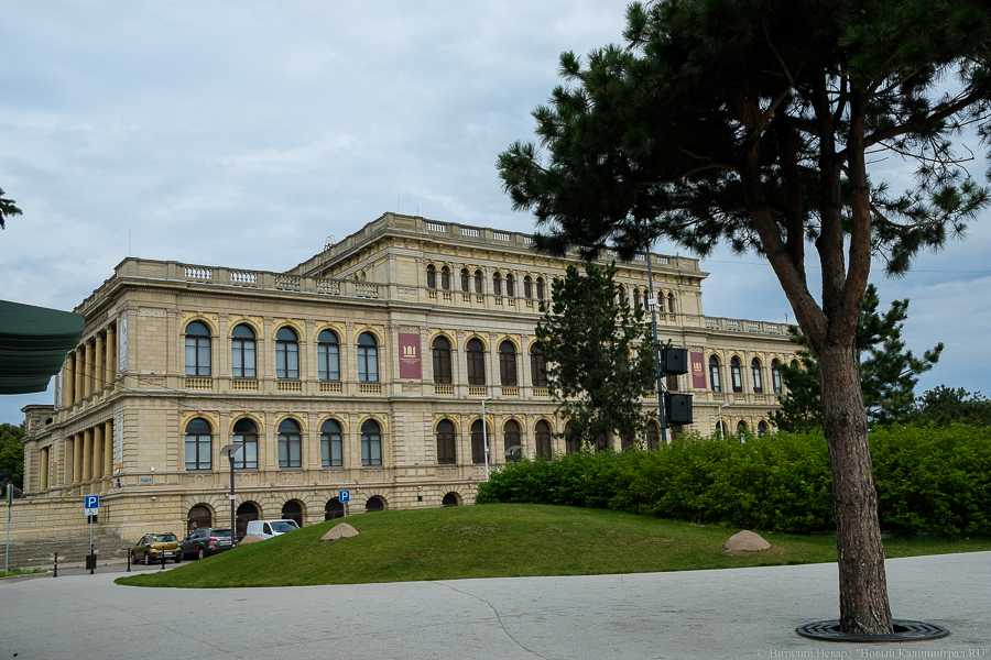 Фото: Виталий Невар / Новый Калининград 