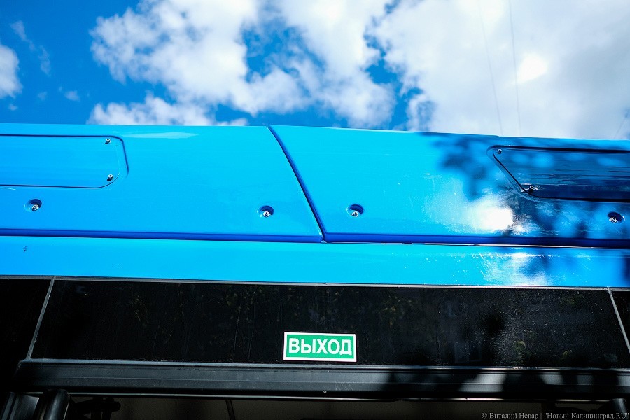 Автобус с розеткой: как в Калининграде испытывают новый вид транспорта