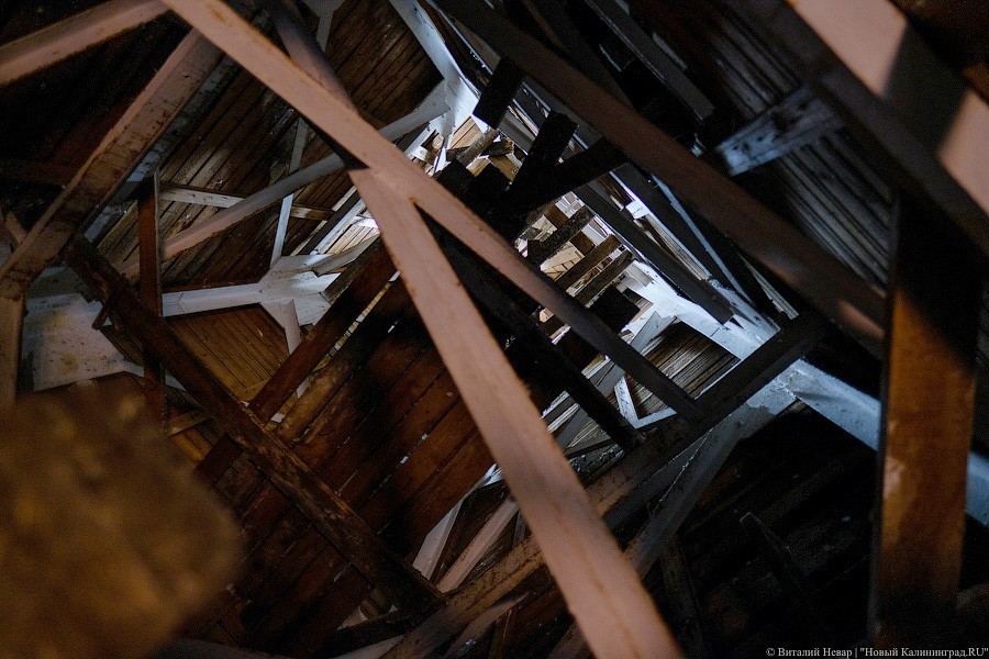 С личного завода кайзера: филармония хочет запустить экскурсии на колокольню (фото)