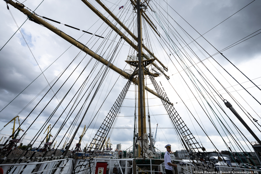 Там будет «Крузенштерн»: в Калининграде стартовала Большая африканская экспедиция