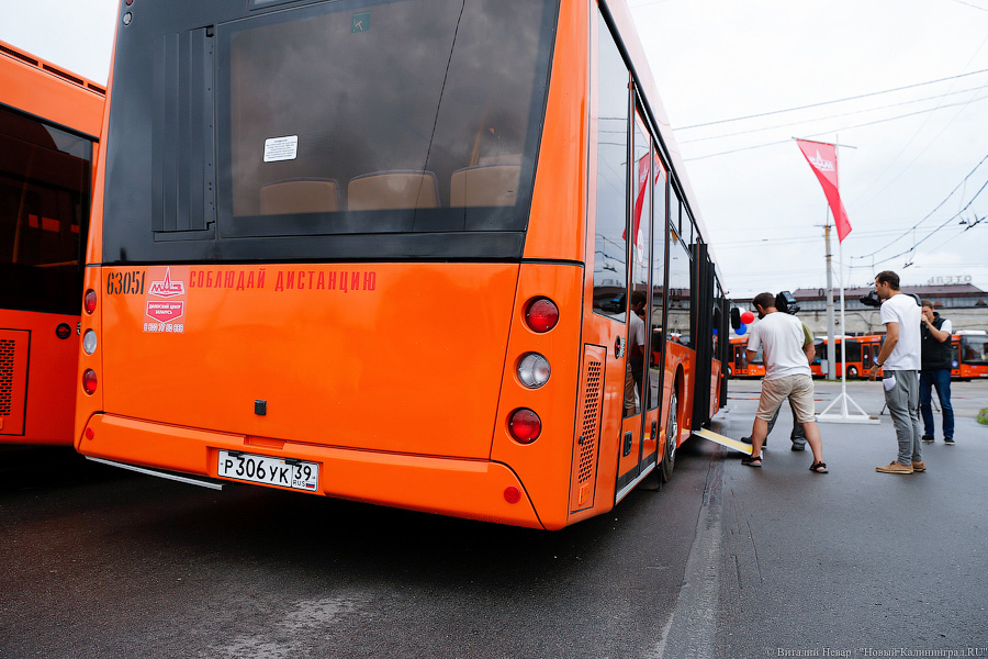Оранжевое счастье: Калининграду передали 100 новых автобусов МАЗ (фото)