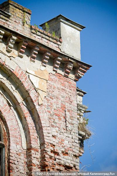 Остатки роскоши прусского барокко: усадьба в Рощино в проекте «Пустые дома»