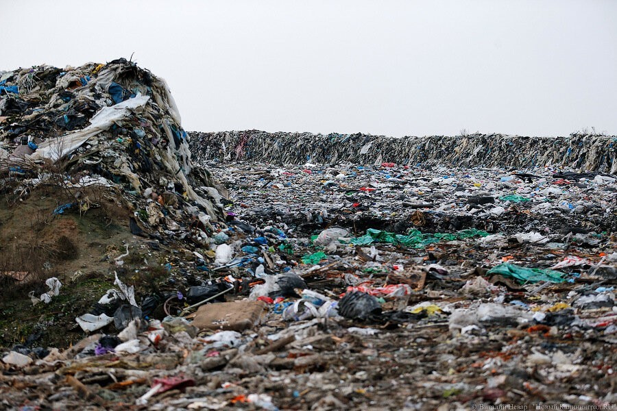 В Калининградской области утилизировали в 7 раз меньше отходов, чем хотела власть