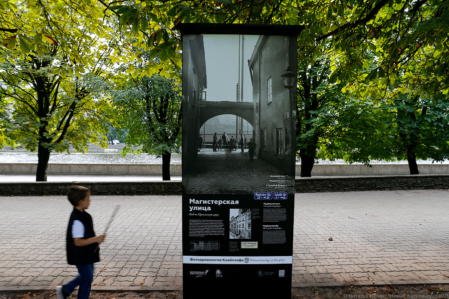 Прогулки по Кнайпхофу: о чём рассказывают новые стенды на острове Канта