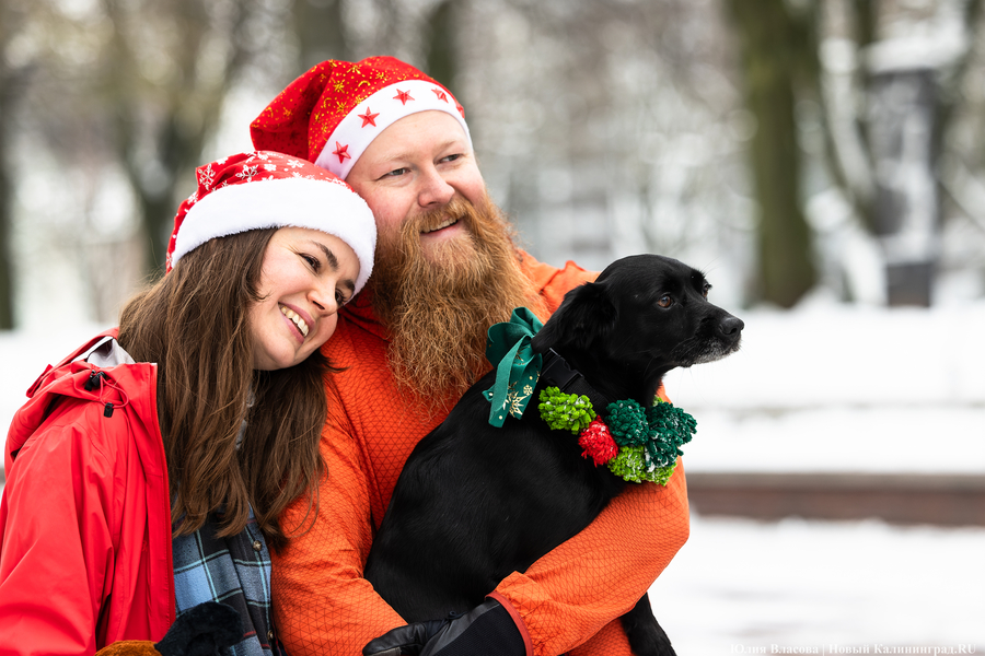 Цвет настроения — красный: на острове Канта прошёл благотворительный забег Дедов Морозов