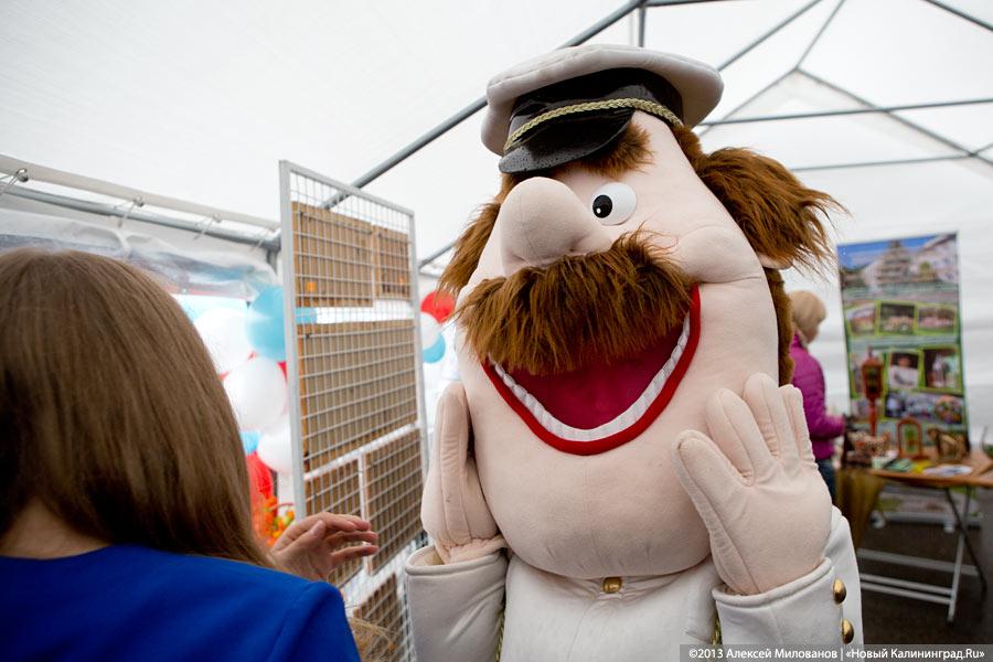 «Процветает всё кругом»: трёхлетие губернатора отметили муниципальным фестивалем (фото)