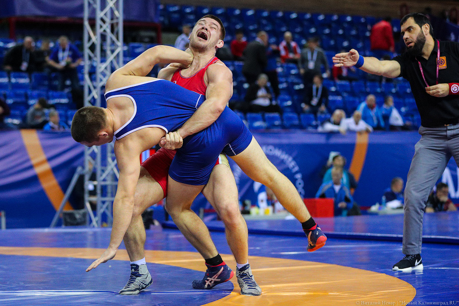 Просто мощь: чемпионат России по греко-римской борьбе идет в Калининграде (фото)