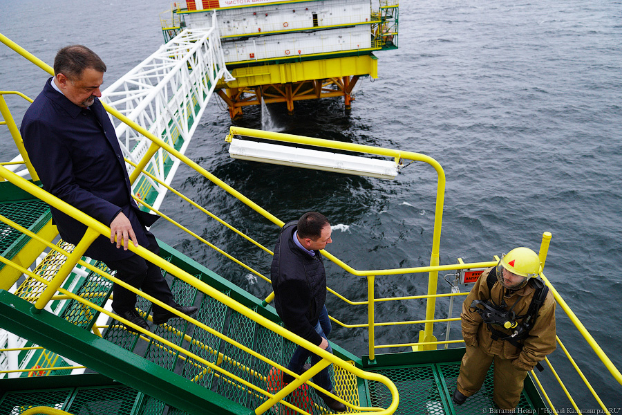 Прилетит вдруг волшебник: как голосовали на платформе «Д-6»