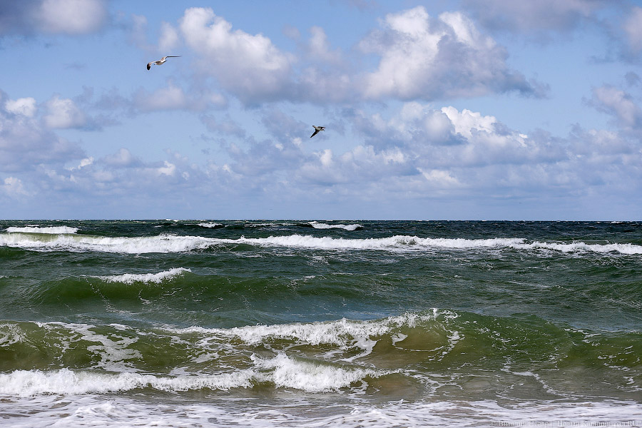 СК: за сутки в Калининградской области утонули пять человек