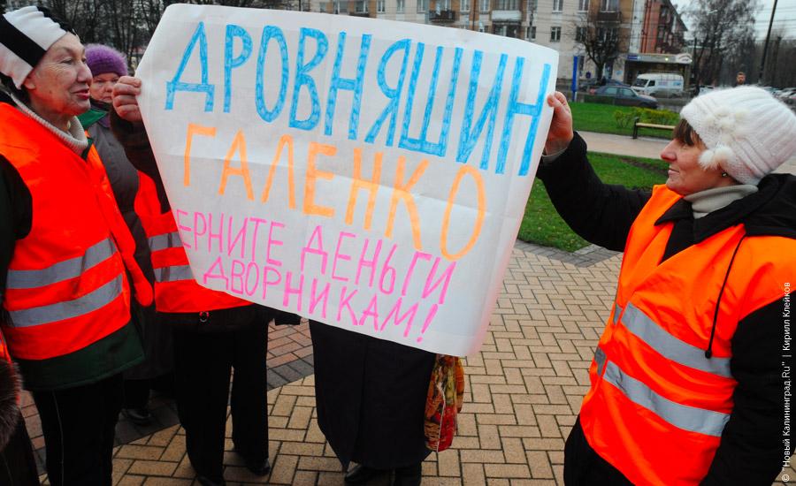 "Люди в ярких жилетах": фоторепортаж "Нового Калининграда.Ru"