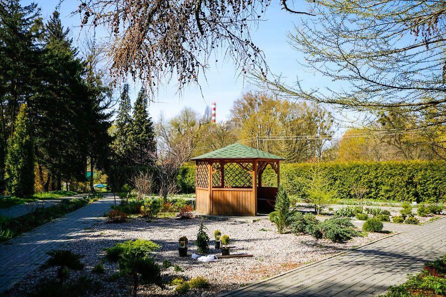Пастораль ручной работы: весенний Ботанический сад