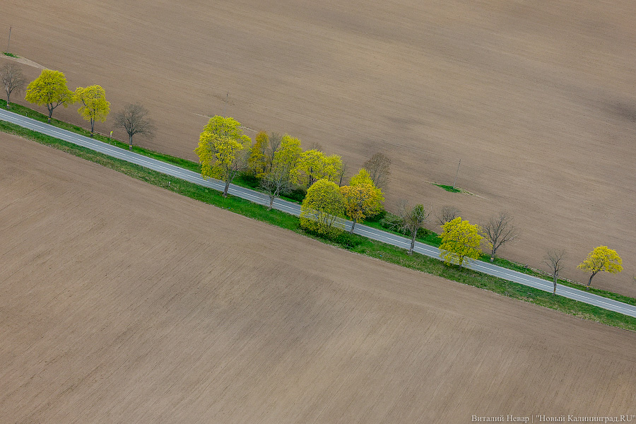 Мне сверху видно все: репетиция воздушного парада в Калининграде (фото)