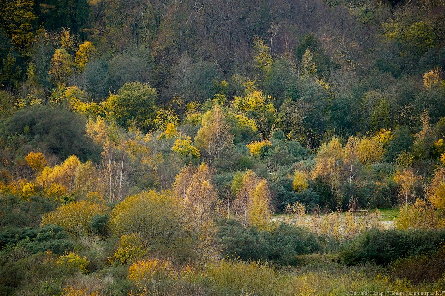 Всё смыло: Светлогорск, Янтарный и Филино после шторма