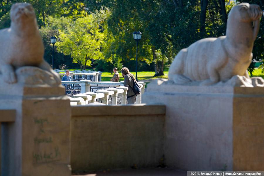 Питерские реставраторы: скульптуры морских котиков на Верхнем озере могут быть потеряны (фото)