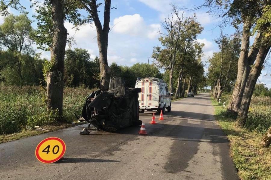 Audi под Гурьевском врезалась в придорожное дерево